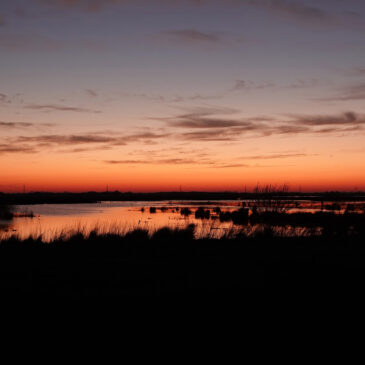 Zonsondergang Onlanden