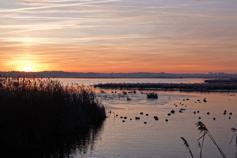 Zonsopgang boven het Eelderdiep in de winter (Onlanden)