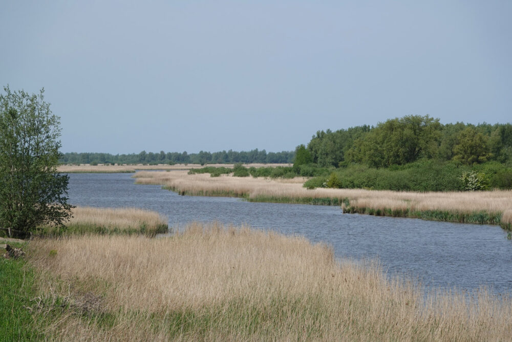 Zoutkamperplaat (Kollumerwaard)