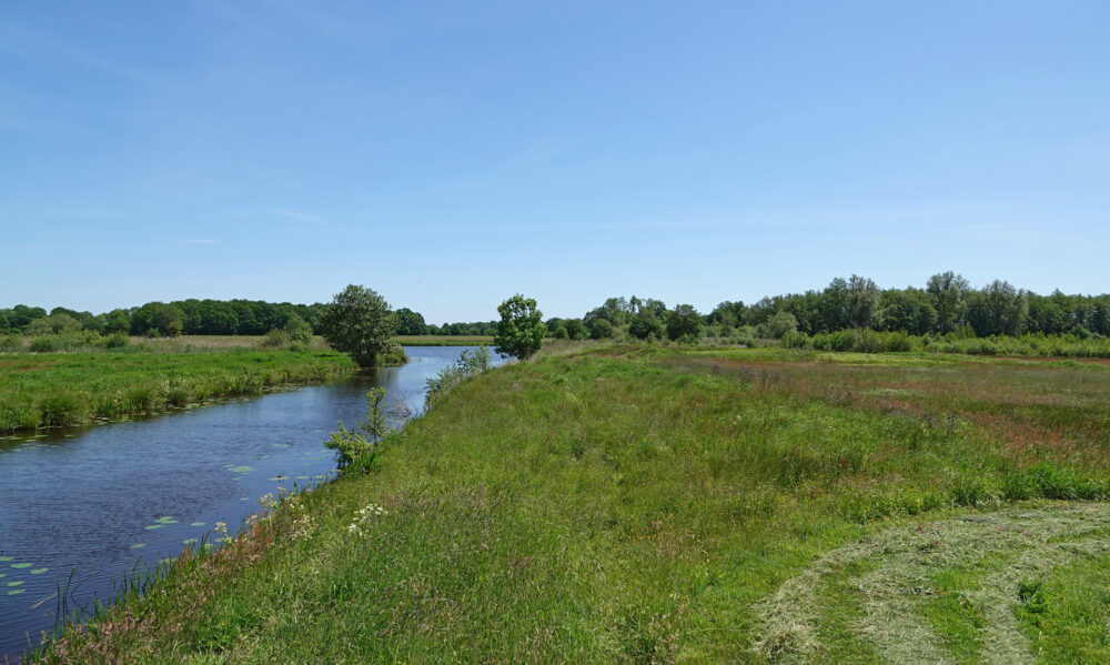 Zuidermaden in het voorjaar (Onlanden)