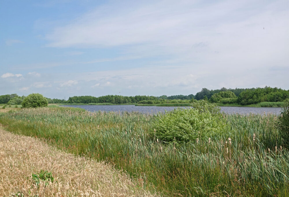 Zuidermaden