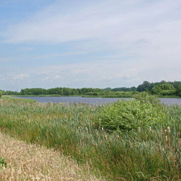 Zuidermaden (Onlanden)