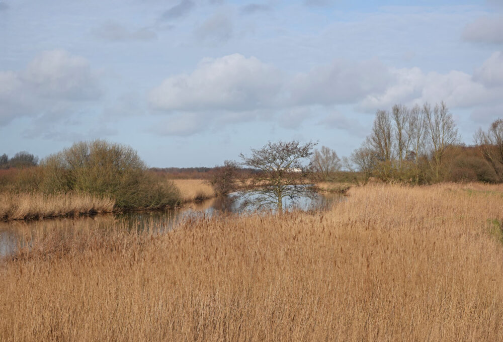 Zuidermaden