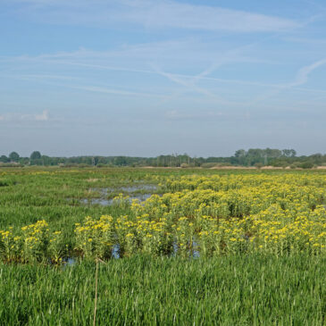 Onnerpolder(Zuidlaardermeergebied)