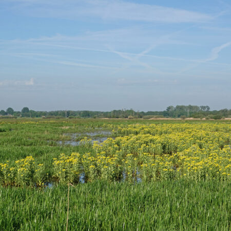 Onnerpolder(Zuidlaardermeergebied)