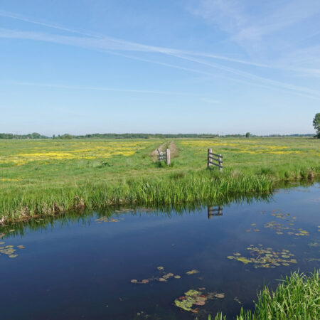 Onnerpolder (Zuidlaardermeer)