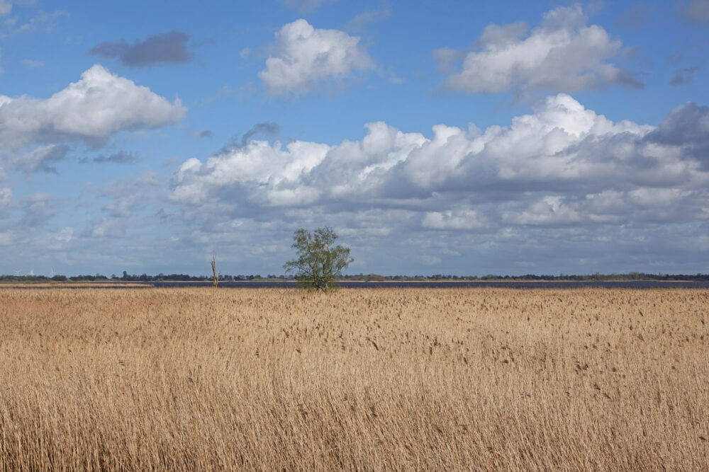 Zuidlaardermeergebied (Oostpolder)