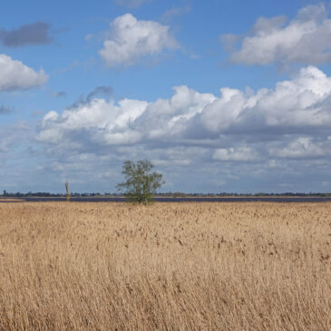 Zuidlaardermeergebied (Oostpolder)
