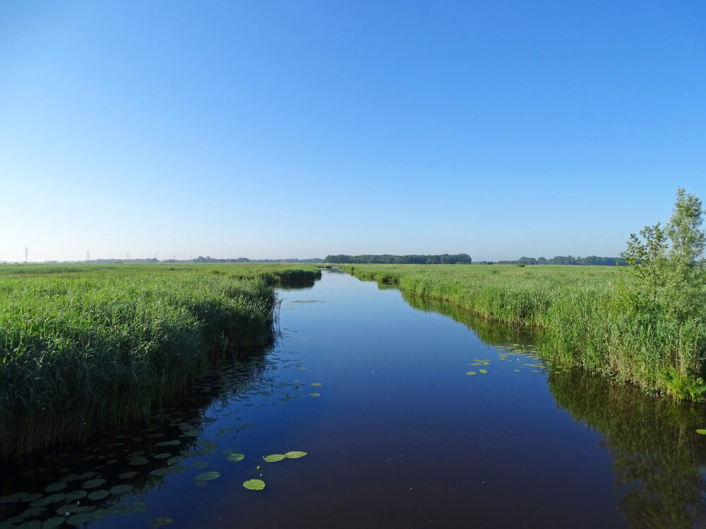 Zuidslenk in Matslootgebied (Onlanden)