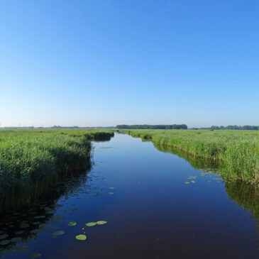 Matslootgebied (Onlanden)