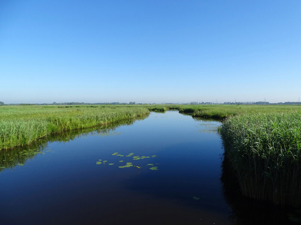 Zuidslenk in Matslootgebied (Onlanden)