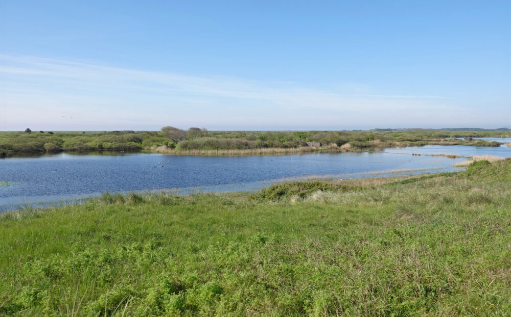 Zwanewaterduinen (Ameland)