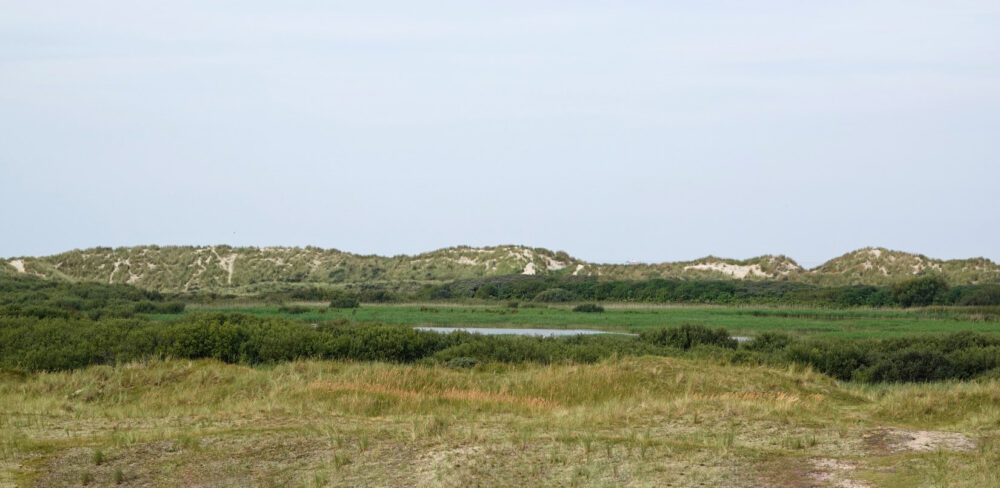 Zwanewaterduinen (Ameland)