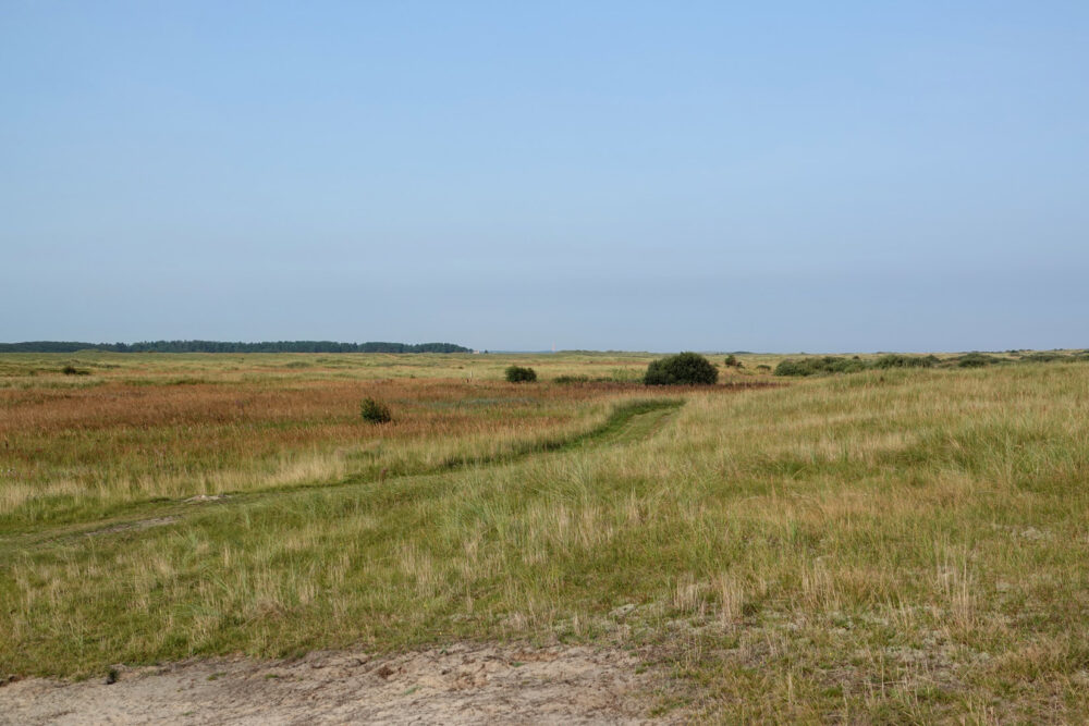 Zwanewaterduinen (Ameland)