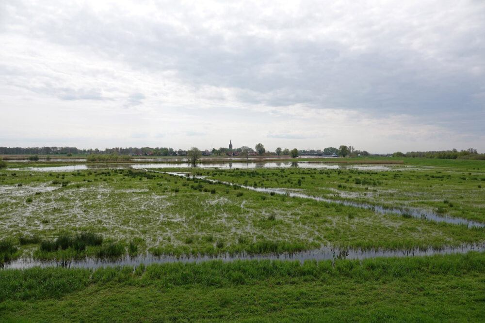 Zwarte Water (De Slobben)