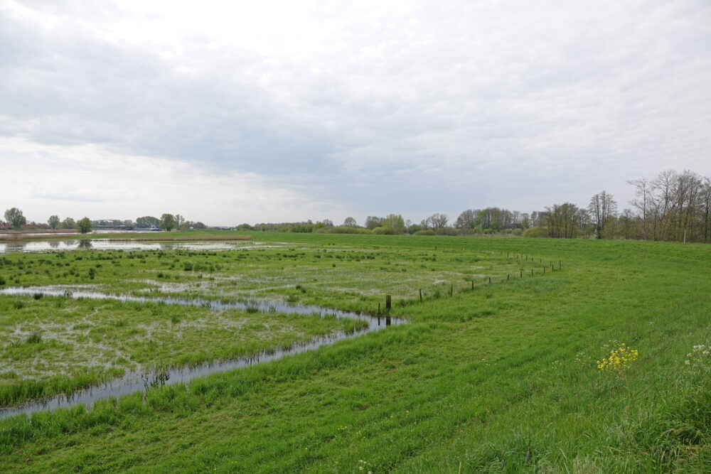 Zwarte Water (De Slobben)