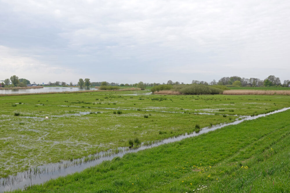 Zwarte Water (De Slobben)
