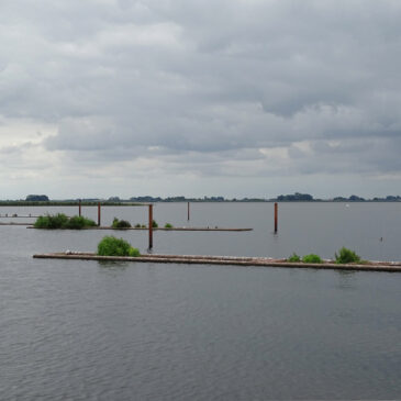 Zwarte meer (Flevoland)