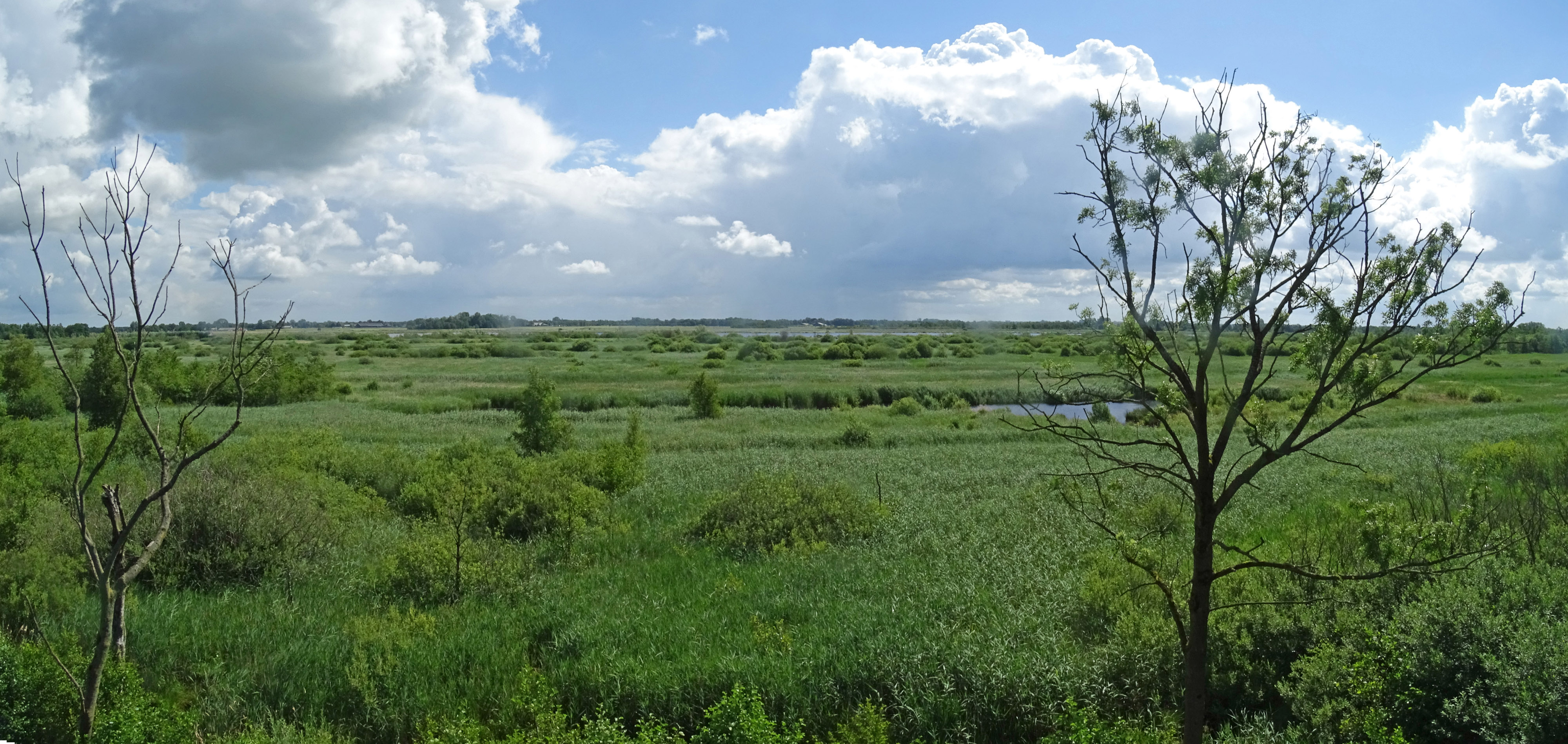 NP De Alde Feanen