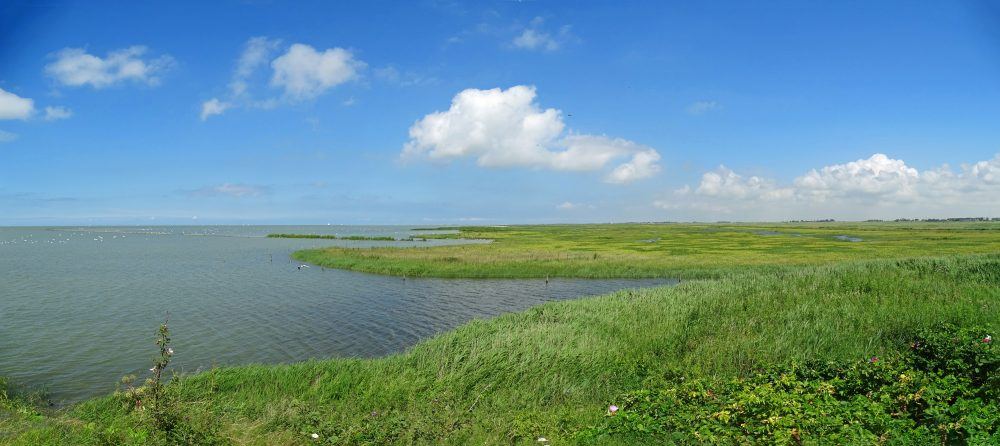 Warkummerwaard
