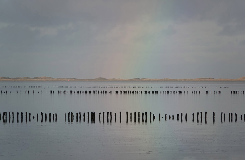 &#039;t Schoor (Zicht op Ameland)