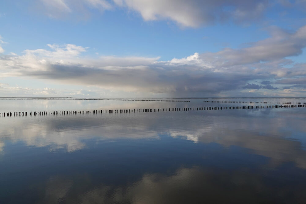 &#039;t Schoor (Zicht op Ameland)